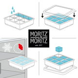 Illustration einer Eiswürfelform mit Deckel, die in vier Schritten gezeigt wird: Befüllen mit Wasser, Verschließen mit dem Deckel, Einfrieren im Gefrierschrank und Entnahme der Eiswürfel. Perspektive: Obenansicht und Seitenansicht.