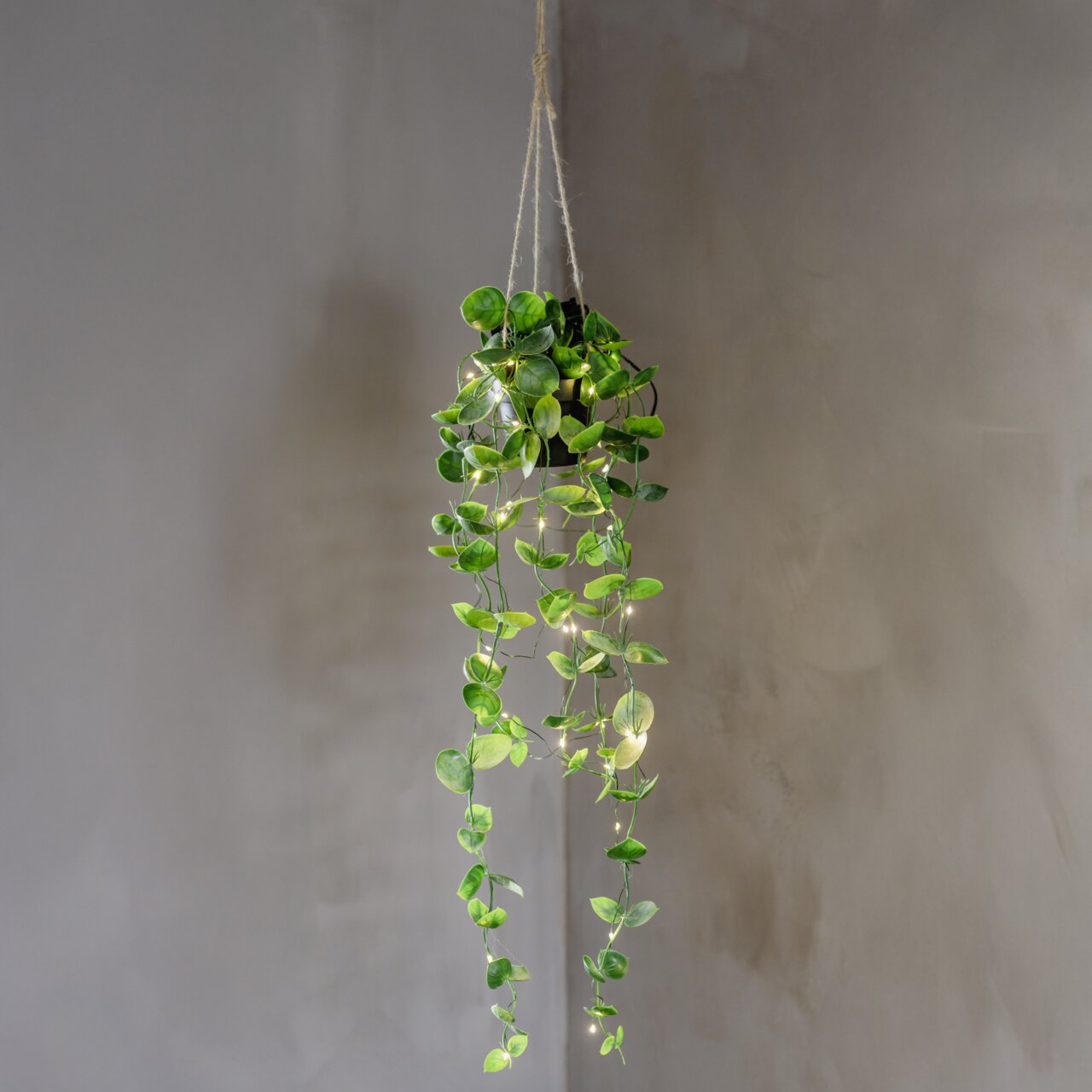 STAR TRADING Kunstpflanze Eukalyptus mit LED-Lichterkette LAOS Hängende grüne Rankpflanze im Topf mit warmweißer Lichterkette, frontale Ansicht vor grauer Wand