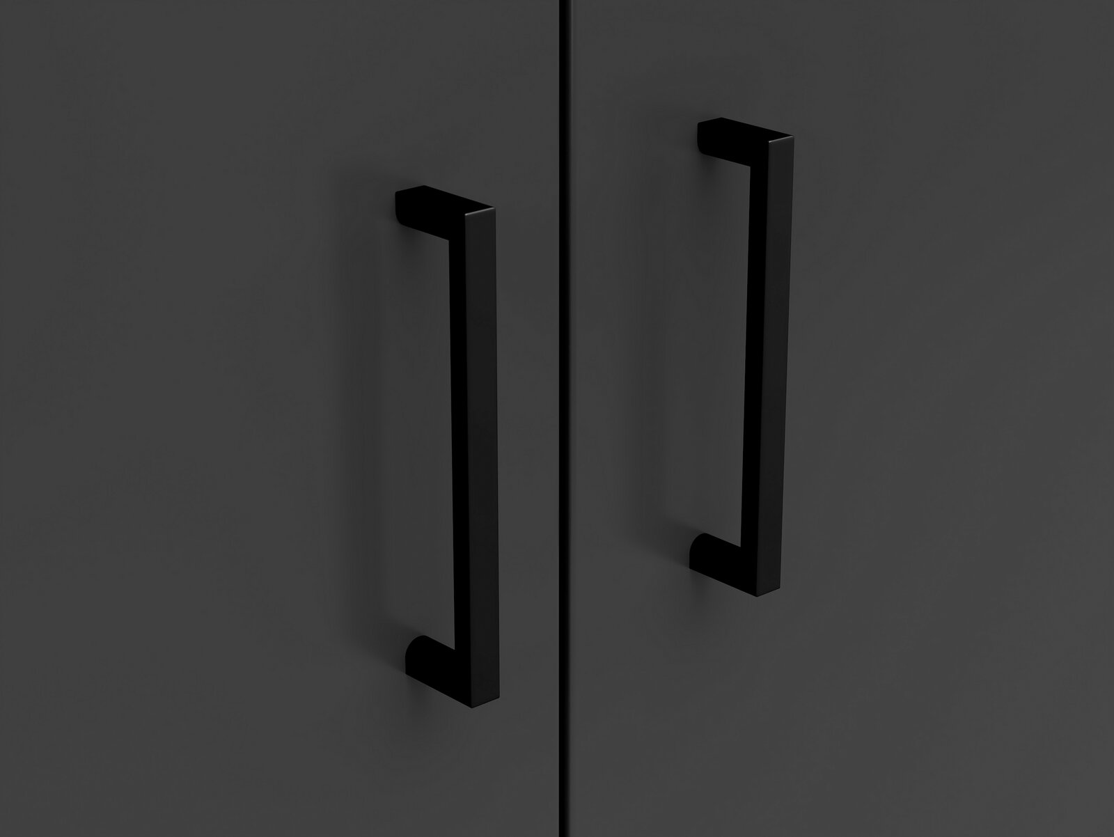 Carryhome Kommode MULTISTAURAUM Nahaufnahme von zwei schwarzen Griffen an einer dunklen Kommode, Frontalansicht