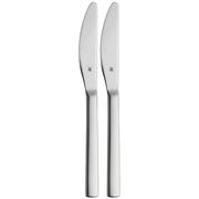 Zwei elegante Obstmesser aus Edelstahl im Set, frontal abgebildet.