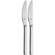 Zwei elegante Obstmesser aus Edelstahl im Set, frontal abgebildet.