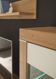 Detailansicht einer Wohnwand mit Holzregal und Dekoration, seitliche Perspektive