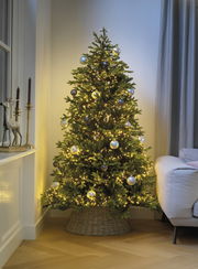 Weihnachtsbaum mit LED-Clusterbeleuchtung und silbernen Kugeln, seitliche Perspektive