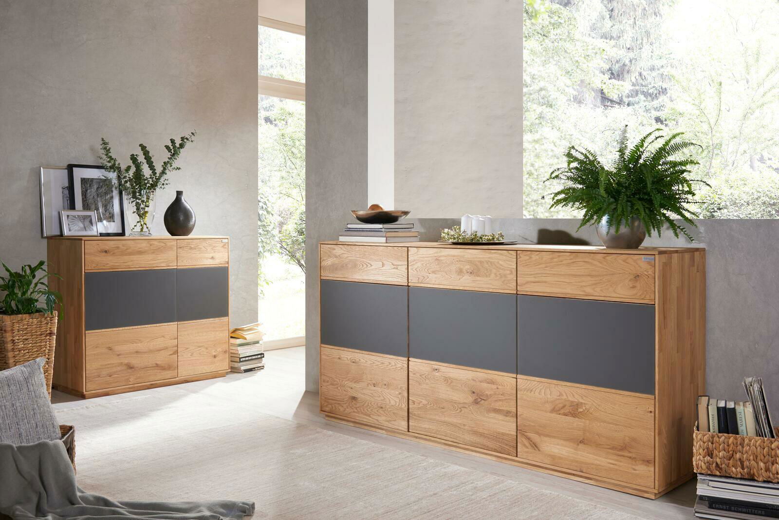 Waldwelt Kommode AVANTI Zwei moderne Kommoden aus Holz mit grauen Akzenten, dekoriert mit Pflanzen und Büchern, in einem hellen Raum mit Blick auf ein Fenster.