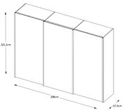 Isometrische Zeichnung eines Schwebetürenschranks mit den Maßen 221,1 cm Höhe, 298 cm Breite und 67,5 cm Tiefe.