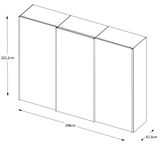 Isometrische Zeichnung eines Schwebetürenschranks mit den Maßen 221,1 cm Höhe, 298 cm Breite und 67,5 cm Tiefe.