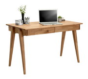 Moderner Holzschreibtisch mit Laptop, Pflanzen und Schreibutensilien, seitliche Perspektive