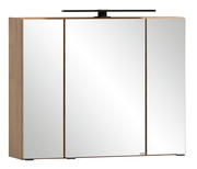 Spiegelschrank mit drei Türen und Holzrahmen, frontale Ansicht