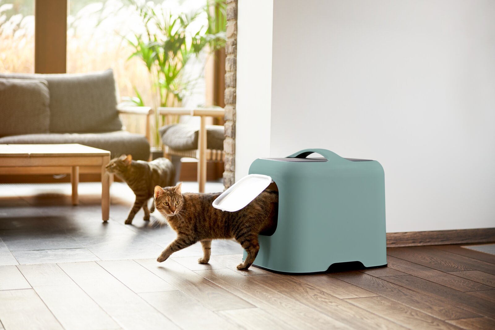 Kattenbak in modern design met een kat die uit de opening stapt, zijaanzicht