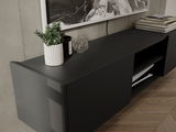Modernes schwarzes Lowboard mit Pflanzen und Dekorationen, seitliche Perspektive