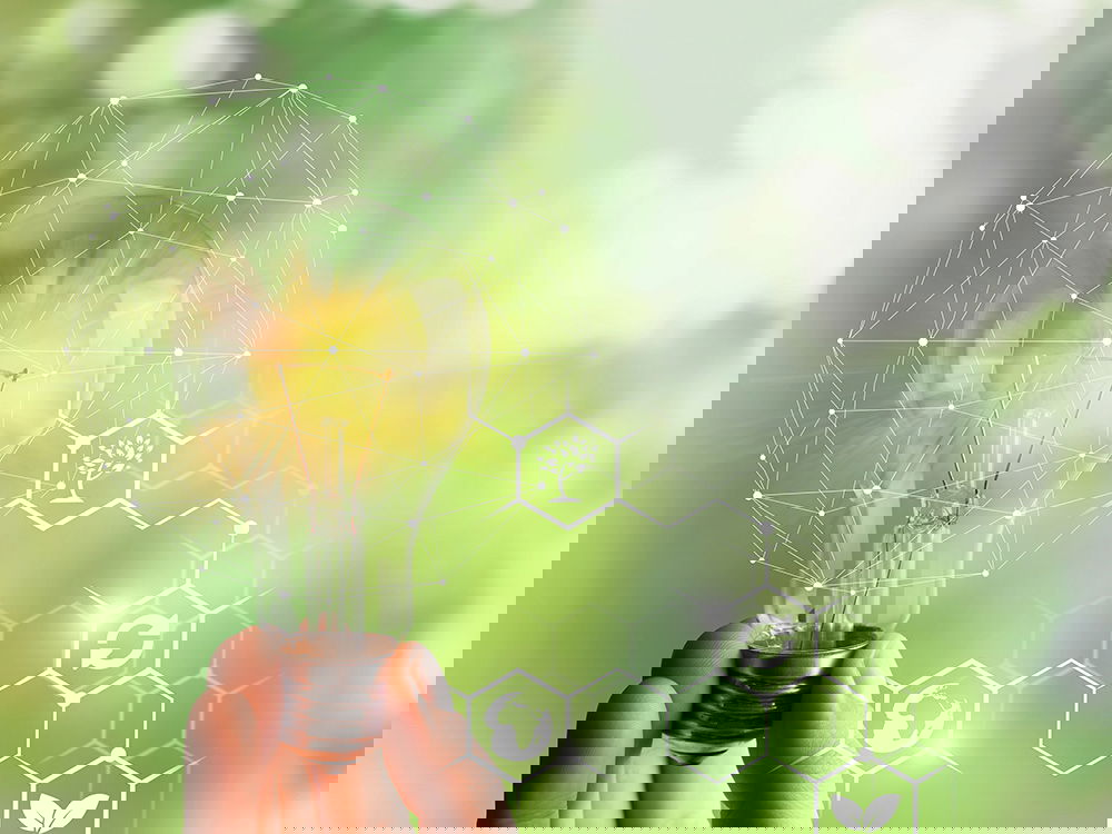 Hand hält leuchtende Glühbirne mit Symbolen für erneuerbare Energie und nachhaltige Innovation