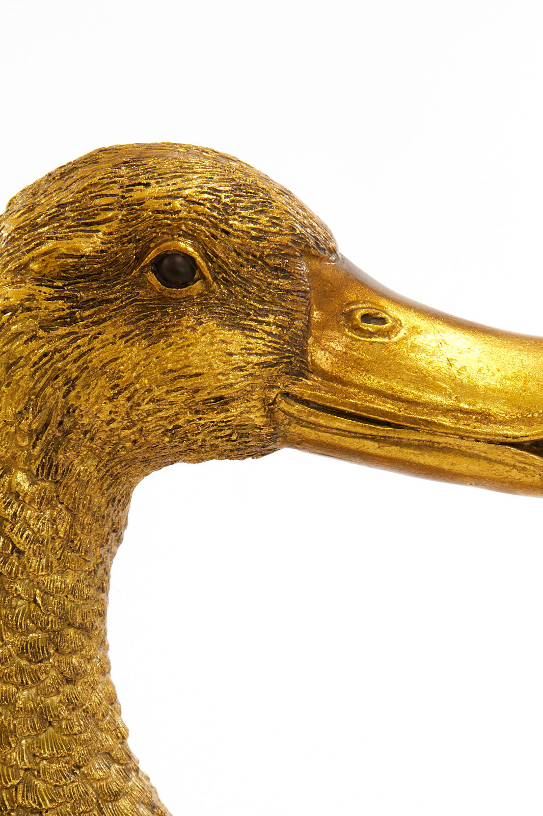 Nahaufnahme eines goldenen Entenkopfes, seitliche Perspektive