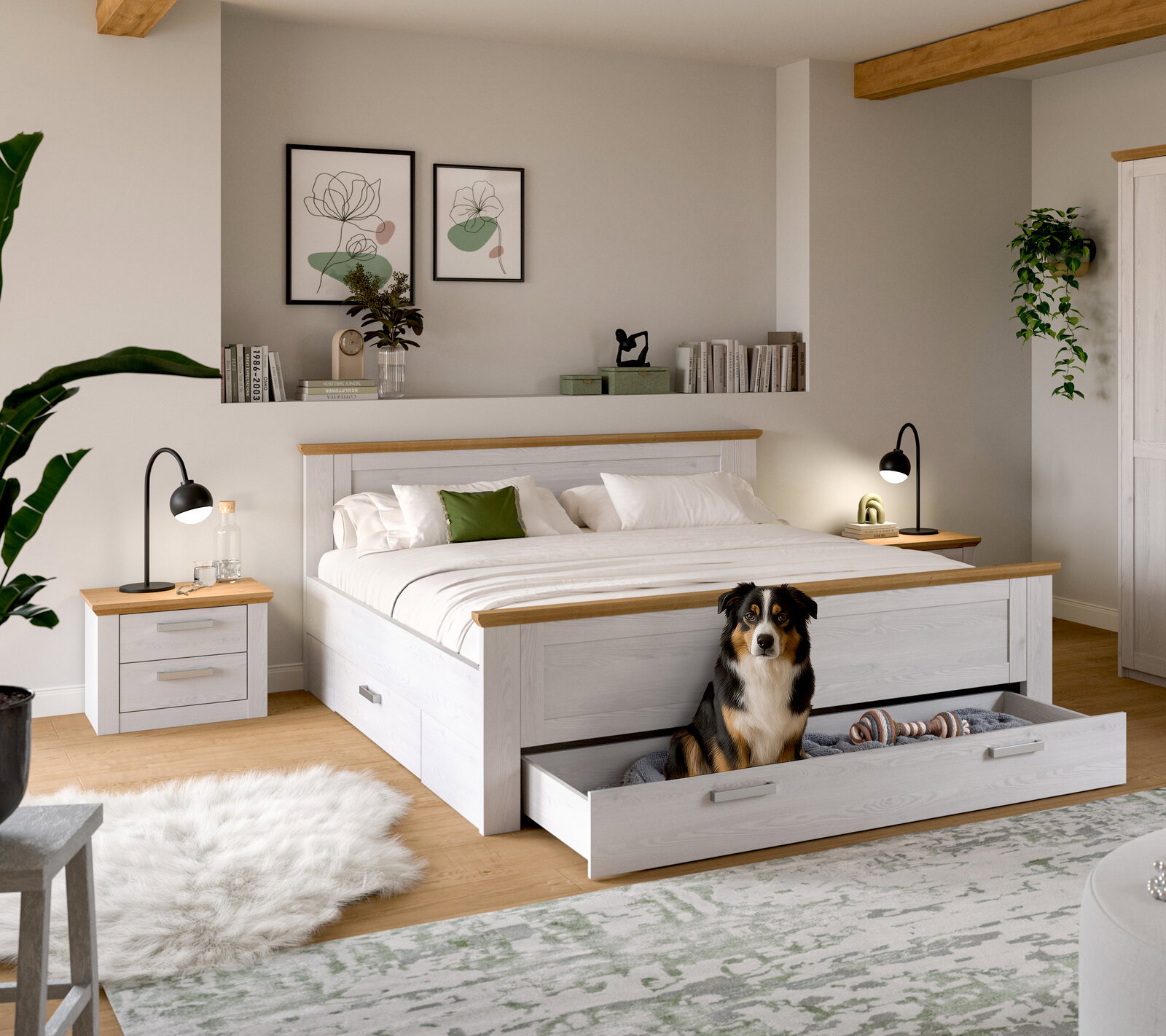 Helles weißes Holzbett mit Eiche-Akzenten und ausziehbarer Schublade unter dem Bett, in der ein Hund sitzt; Schlafzimmeransicht schräg von vorn.