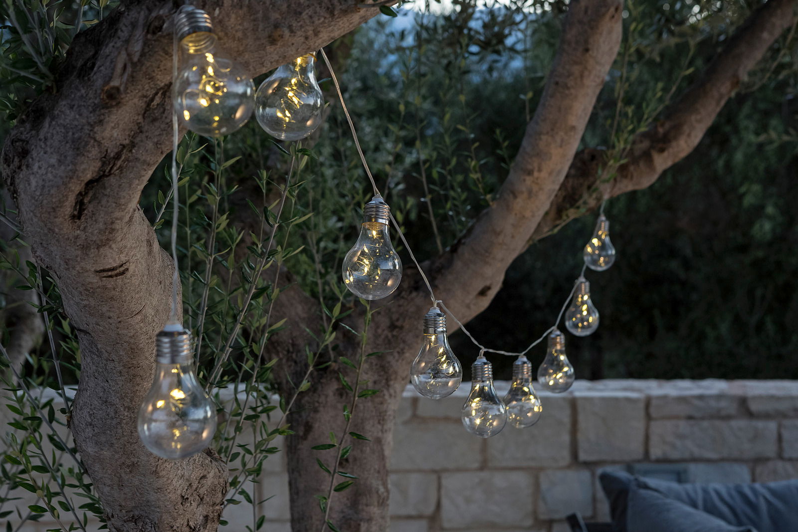 Lichterkette mit Glühbirnen-Design, aufgehängt an einem Baum, in einer abendlichen Gartenatmosphäre