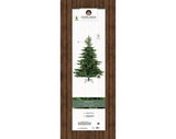 Verpackung eines künstlichen Weihnachtsbaums der Marke Everlands, Modell Grandis Fir, in Frontalansicht.