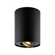 Cilindrische zwarte spotlamp, gezien vanuit de zijkant, met zichtbare lamp.