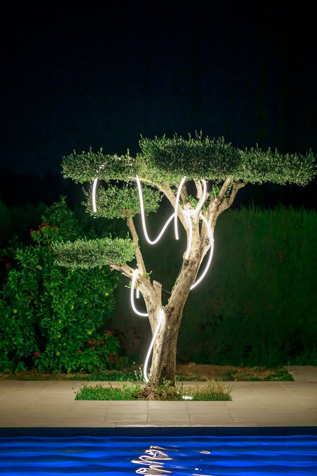 Lichterkette NEO GARLAND, die um einen Baum im Garten gewickelt ist, bei Nacht beleuchtet, mit Blick auf einen Pool im Vordergrund.