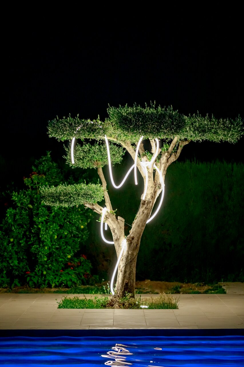 Lichtslinger NEO GARLAND, die om een boom in de tuin is gewikkeld, 's nachts verlicht, met op de voorgrond uitzicht op een zwembad.
