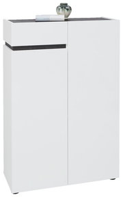 Moderner weißer Schuhschrank mit zwei Türen und einer Schublade, frontal abgebildet. Dekoriert mit einer Vase und einem Buch auf der Oberseite.