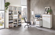 Moderne Büroumgebung mit einem Schreibtisch, einem Rollcontainer, einem Aktenschrank und einem Regalschrank. Perspektive von vorne.