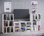 Frontale Ansicht einer modernen weißen TV-Wohnwand mit Regalen für Schallplatten, Bücher und DVDs, TV-Mittelteil und Dekoration vor grauer Betonwand.