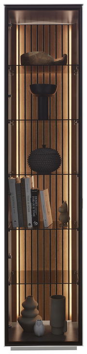 Vitrine mit Holzrückwand und Beleuchtung, gefüllt mit Büchern und dekorativen Objekten, frontal betrachtet.