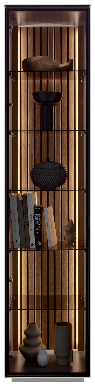 Vitrine mit Holzrückwand und Beleuchtung, gefüllt mit Büchern und dekorativen Objekten, frontal betrachtet.