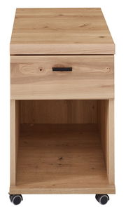 Rollcontainer aus Holz mit einer Schublade und einem offenen Fach, auf Rollen, Frontalansicht