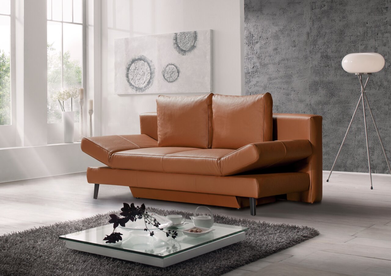 Braunes Querschläfer-Sofa in modernem Wohnzimmer, seitliche Perspektive