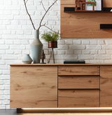 Moderne Wohnwand aus Holz mit Schubladen und Türen, dekoriert mit Vasen und Pflanzen, seitliche Perspektive