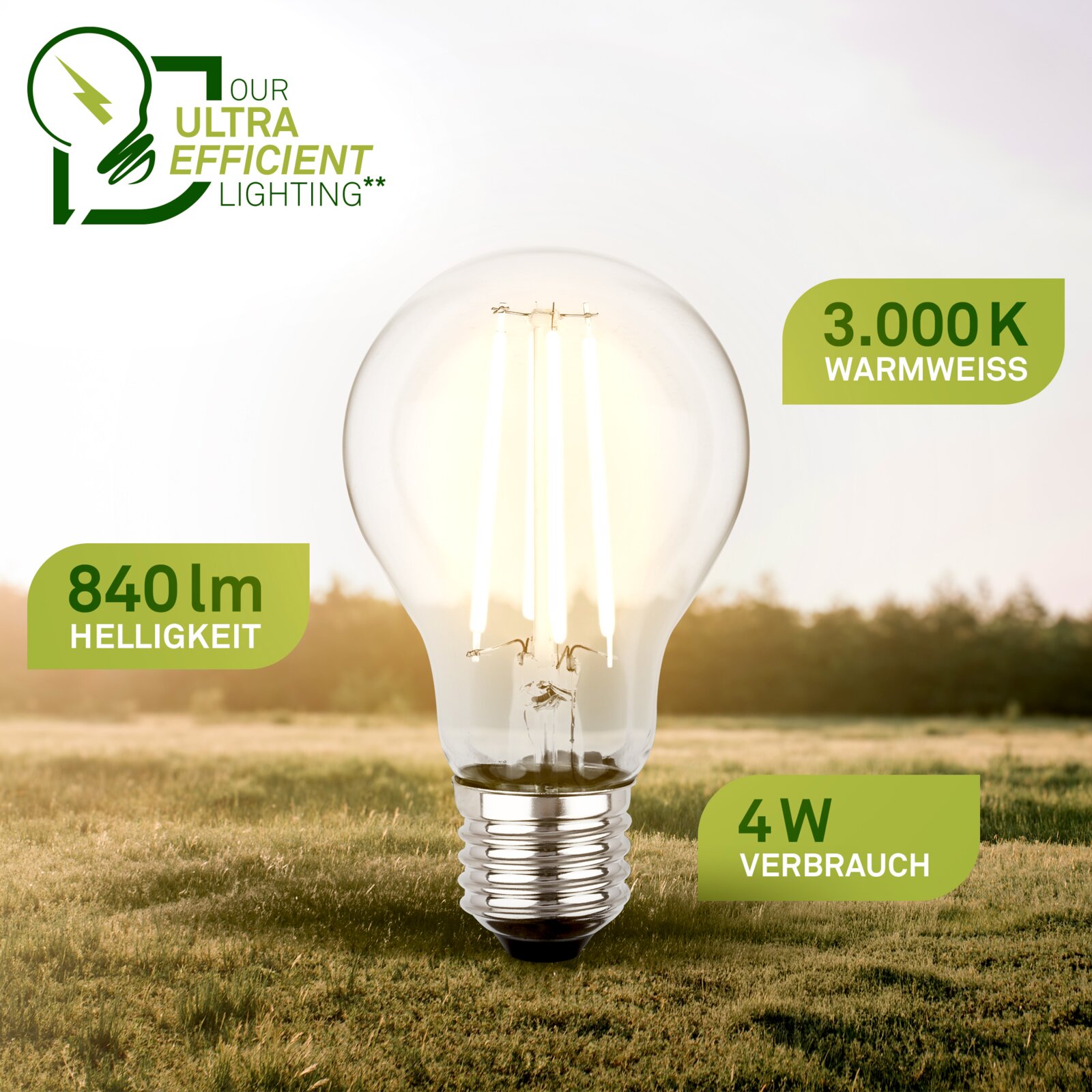 LED-filamentlamp met E27-schroeffitting, frontaal afgebeeld in een landschap; warmwit licht van 3000 K, 840 lumen en 4 W verbruik