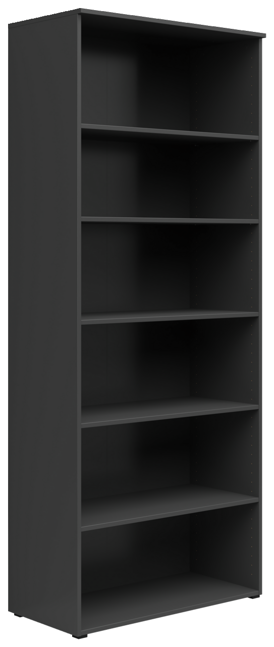 Carryhome Regal MULTISTAURAUM Schwarzes Regal mit fünf Einlegeböden, seitliche Perspektive