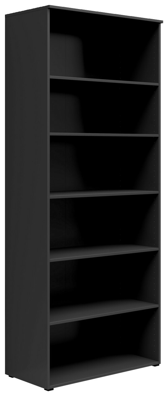 Carryhome Regal MULTISTAURAUM Schwarzes Regal mit fünf Einlegeböden, seitliche Perspektive