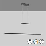 Moderne Pendelleuchte Bill in schwarzem Design, von der Seite betrachtet, mit höhenverstellbaren Seilen und CCT-Funktion.