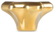 Goldener Deckelknopf in Sternform, frontal betrachtet
