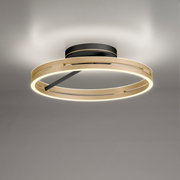 Moderne plafondlamp PURE Loop in de vorm van een gouden ring, gezien van onderaf.