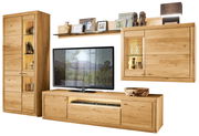 Moderne Wandkombination aus Holz mit TV-Schrank, Vitrine und Regal, frontal betrachtet.
