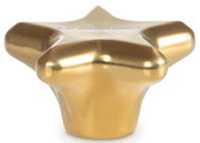 Goldener sternförmiger Deckelknopf, seitliche Perspektive