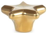 Goldener sternförmiger Deckelknopf, seitliche Perspektive