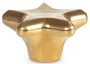Goldener sternförmiger Deckelknopf, seitliche Perspektive