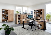 Moderne Büromöbel in einem hellen Raum mit großen Fenstern, bestehend aus Schreibtischen, Aktenschränken und Regalen aus Holz. Perspektive: Frontalansicht.