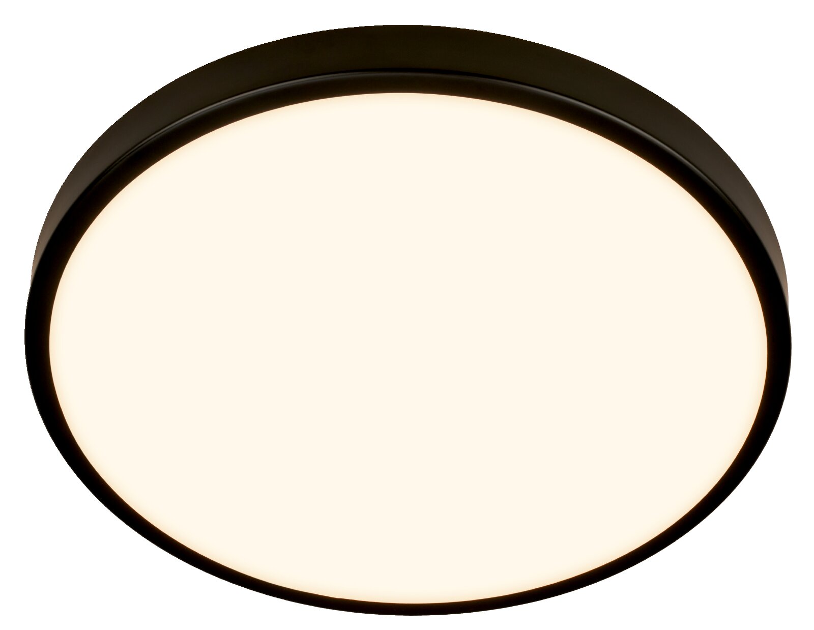 Ronde plafondlamp met matzwarte rand en opaalwitte diffuser, frontaal van onderen gefotografeerd tegen een witte achtergrond