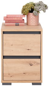 Nachtkommode aus Holz mit zwei Schubladen, dekoriert mit einem rosa Blumentopf und Büchern, Frontalansicht