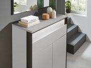 Moderner Schuhschrank in hellem Raum, seitliche Perspektive, dekoriert mit Büchern und Vasen.