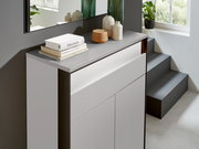 Moderner Schuhschrank in hellem Raum, seitliche Perspektive, dekoriert mit Büchern und Vasen.