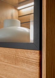 Nahaufnahme einer Vitrine mit Holzstruktur und Glaselementen, seitliche Perspektive