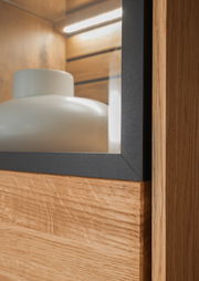 Nahaufnahme einer Vitrine mit Holzstruktur und Glaselementen, seitliche Perspektive