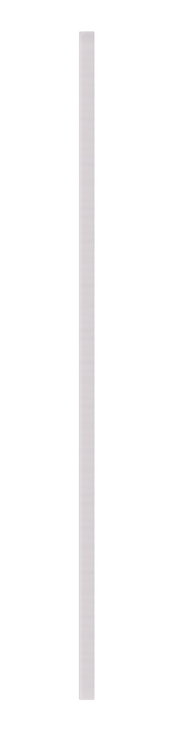 Schmaler, rechteckiger Spiegel in vertikaler Perspektive, 50x150cm groß.