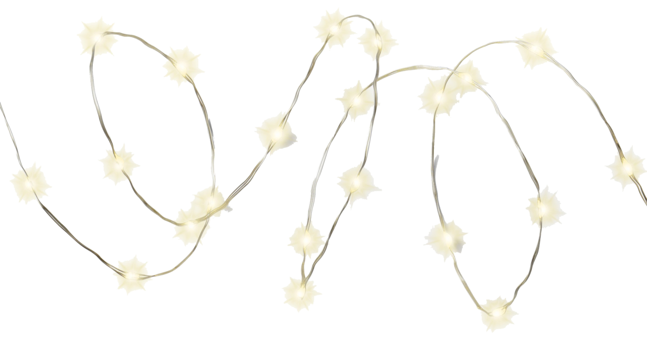 Lumineo Solar Strangbeleuchtung Solarbetriebene Lichterkette mit sternförmigen LED-Leuchten, aus der Vogelperspektive fotografiert.
