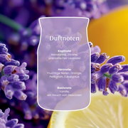 Frontalansicht einer stilisierten Duftflasche vor Lavendel und Zitrone mit Duftnoten aus Mandarine, Zitrone, Lavendel, Orange, Petitgrain, Eukalyptus, Vanille und Gewürzen.